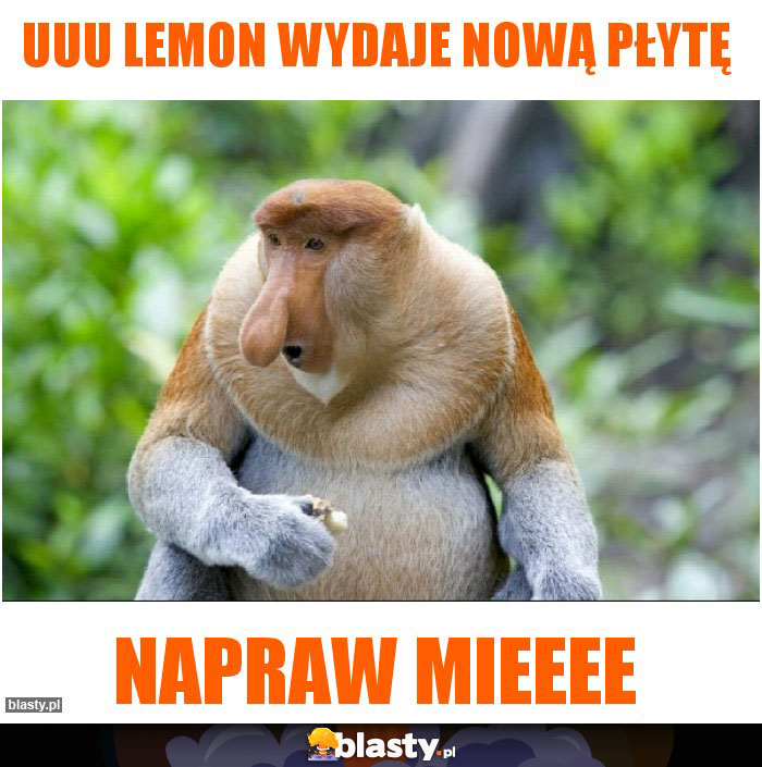 Uuu Lemon wydaje nową płytę