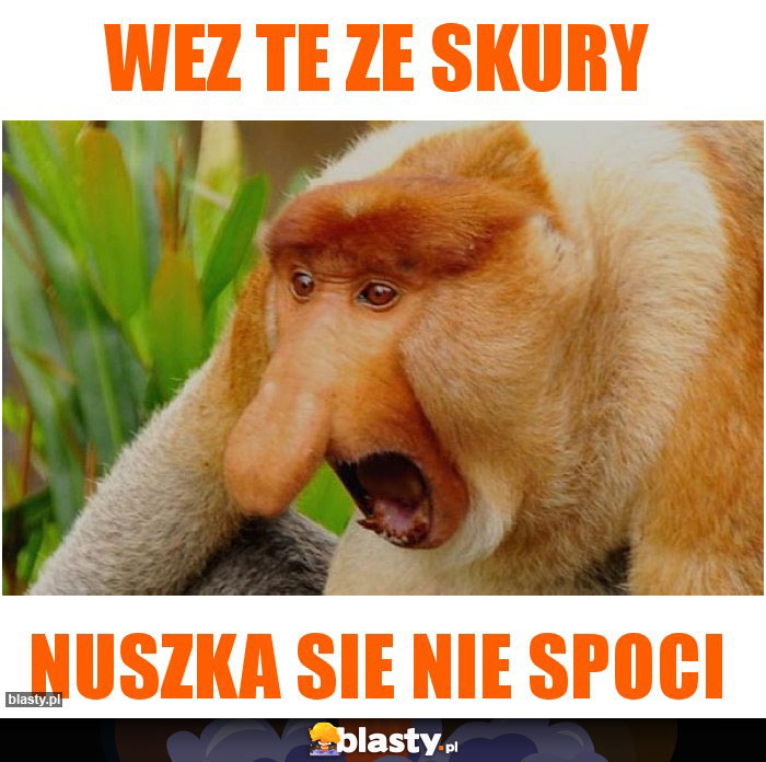 wez te ze skury