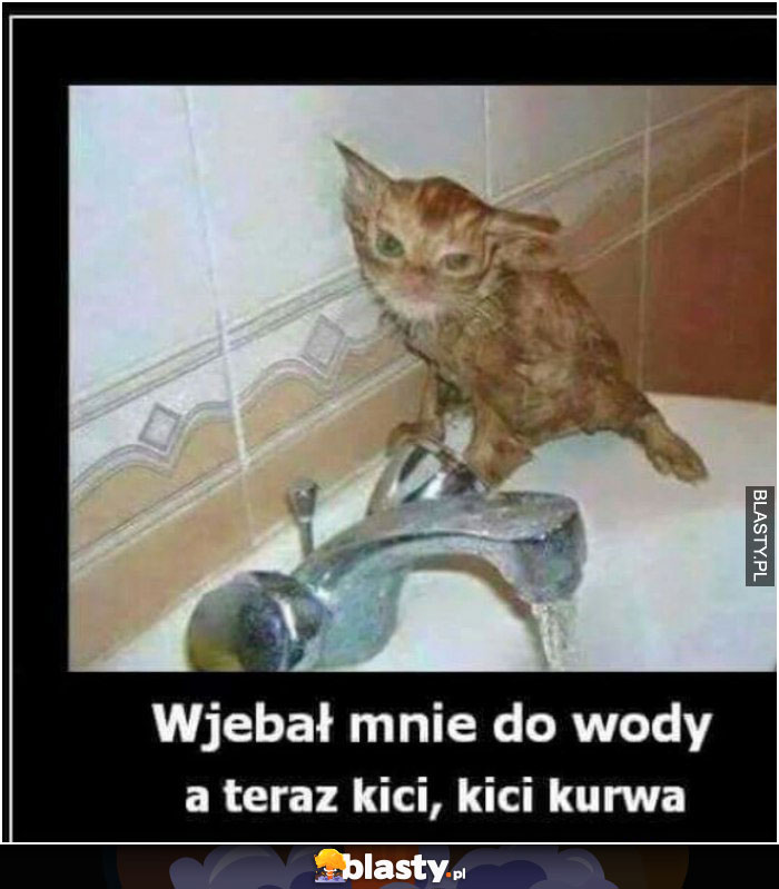 Wje*** mnie do wody a teraz kici kici ku**