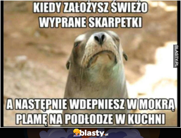 Wyprane skarpetki