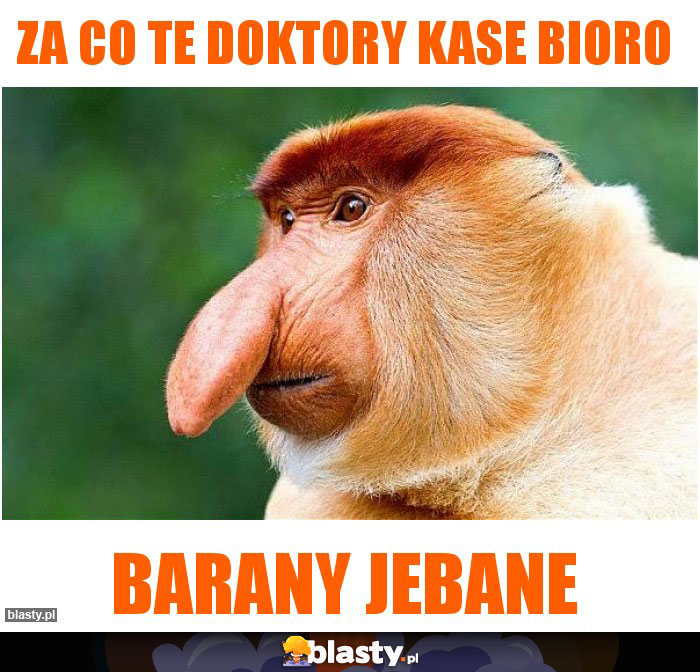 Za co te doktory kase bioro