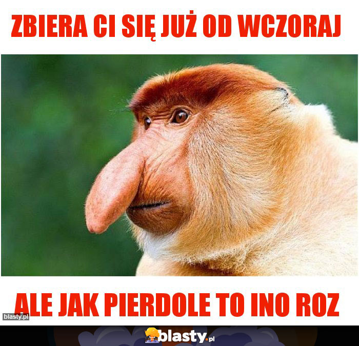 Zbiera ci się już od wczoraj