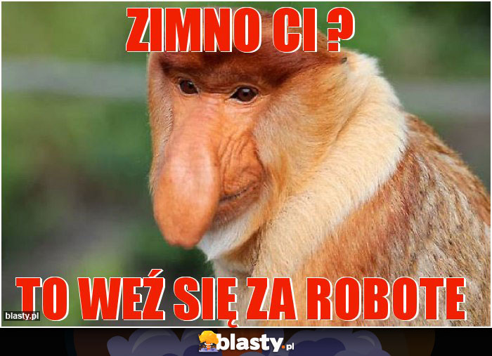 Zimno Ci ?