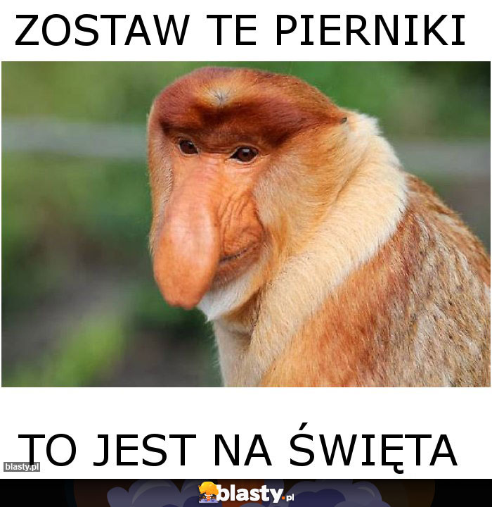 zostaw te pierniki