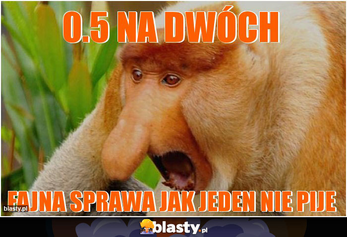 0.5 na dwóch