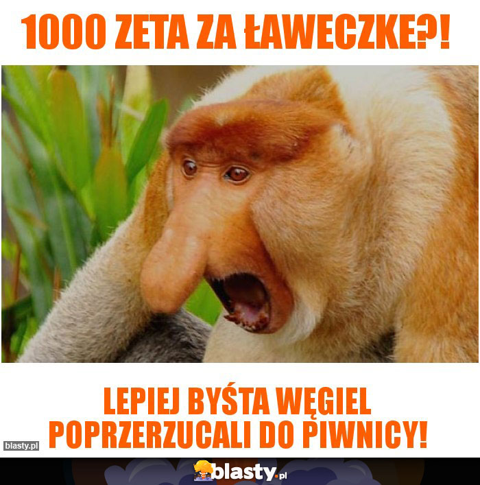 1000 zeta za ławeczke?!