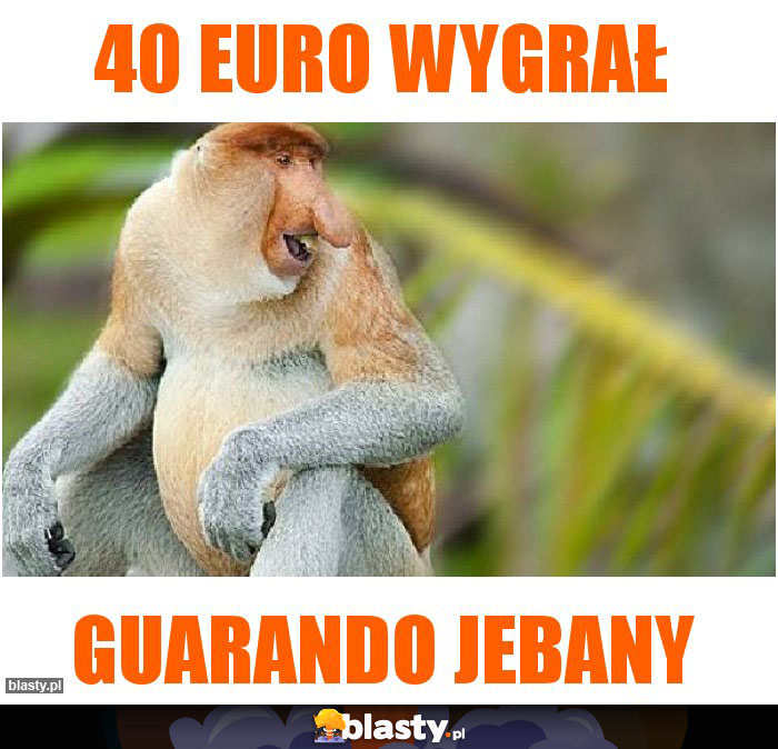 40 euro wygrał