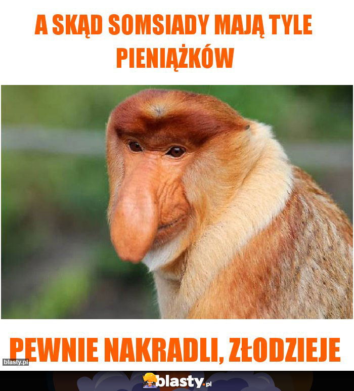 A SKĄD SOMSIADY MAJĄ TYLE PIENIĄŻKÓW