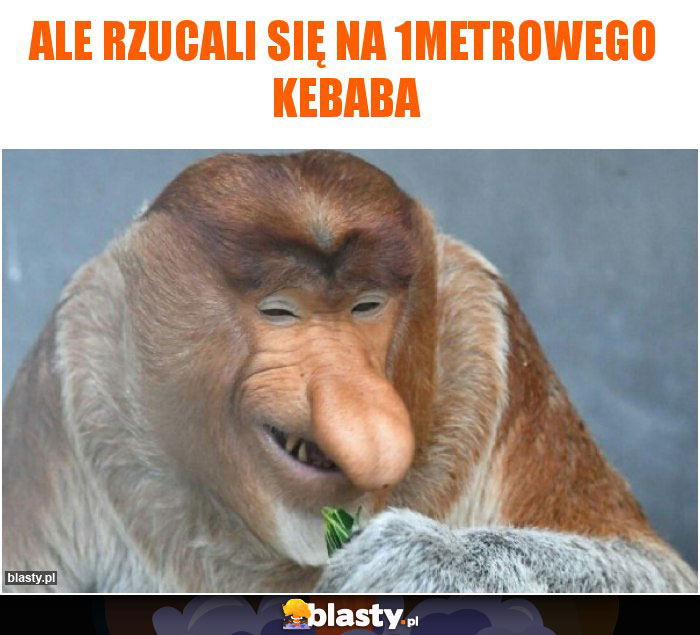 Ale rzucali się na 1metrowego kebaba