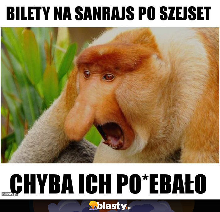 Bilety na sanrajs po szejset