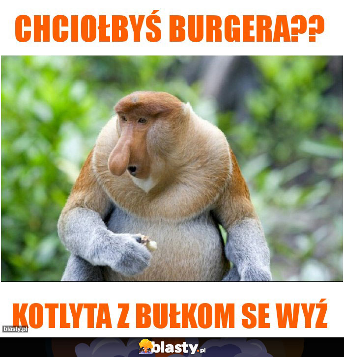 Chciołbyś burgera??