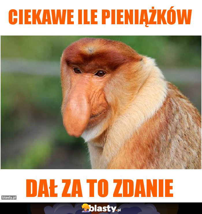 Ciekawe ile pieniążków