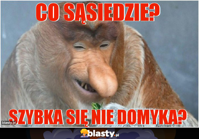 Co sąsiedzie?