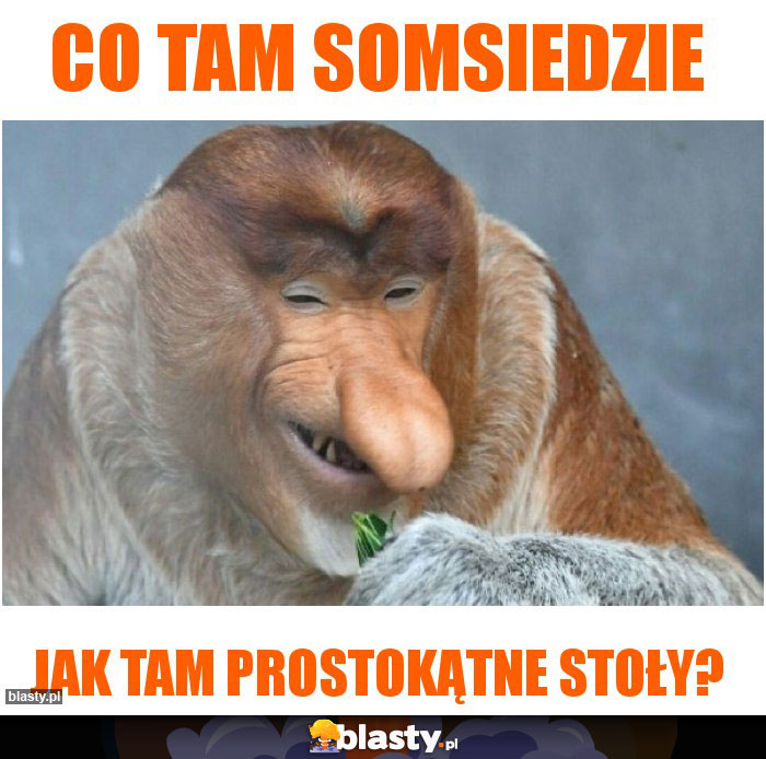 CO TAM SOMSIEDZIE