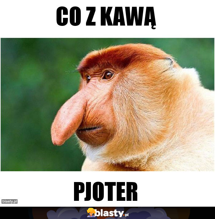 CO z kawą