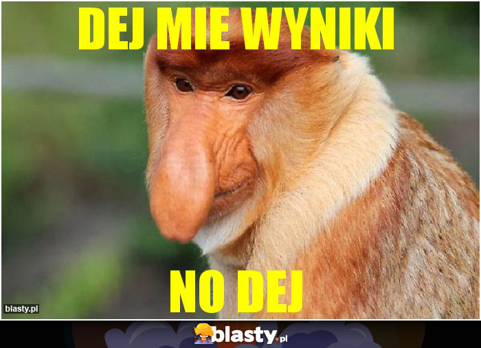 Dej mie wyniki