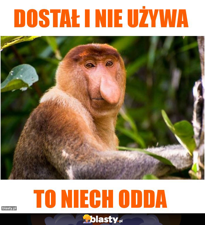 Dostał i nie używa