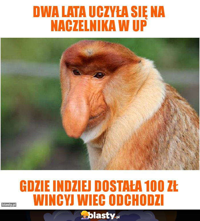 dwa lata uczyła się na naczelnika w UP