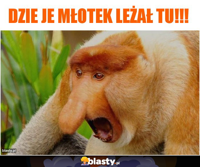 Dzie je młotek leżał tu!!!