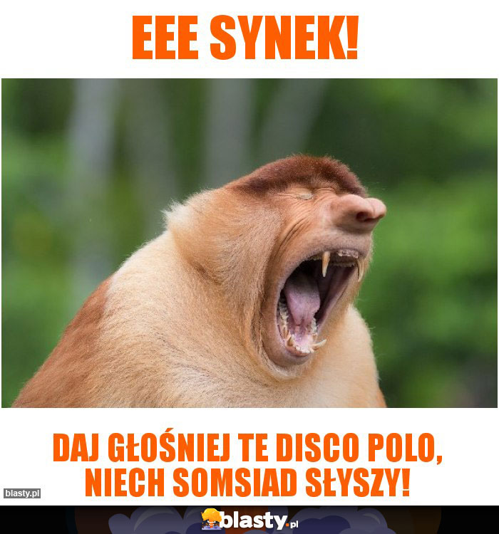 eee synek!