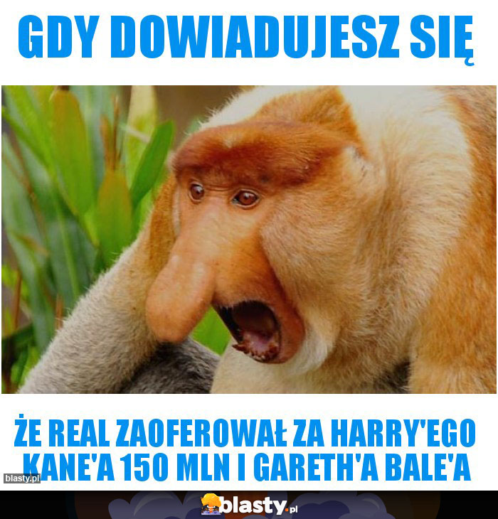 Gdy dowiadujesz się