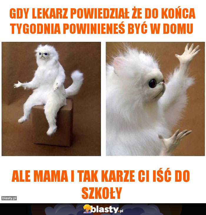 gdy lekarz powiedział że do końca tygodnia powinieneś być w domu