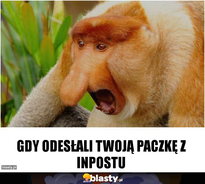 Gdy odesłali twoją paczkę z inpostu