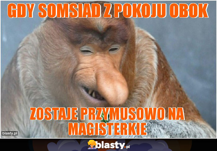 Gdy somsiad z pokoju obok