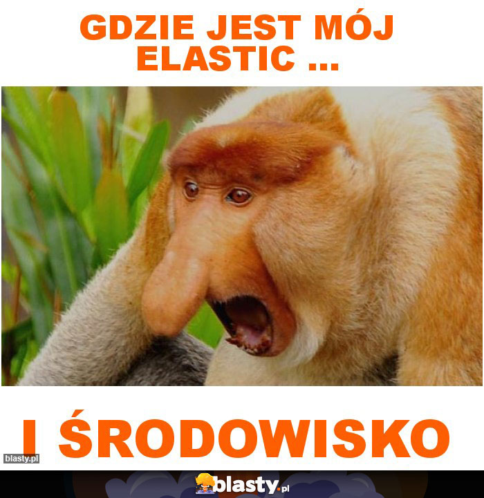 Gdzie jest mój elastic ...