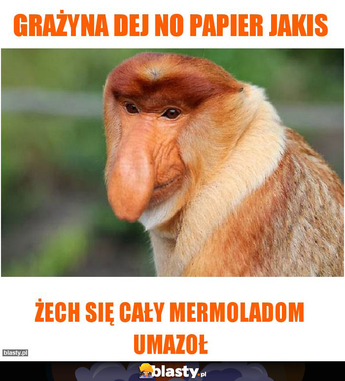 Grażyna dej no papier jakis