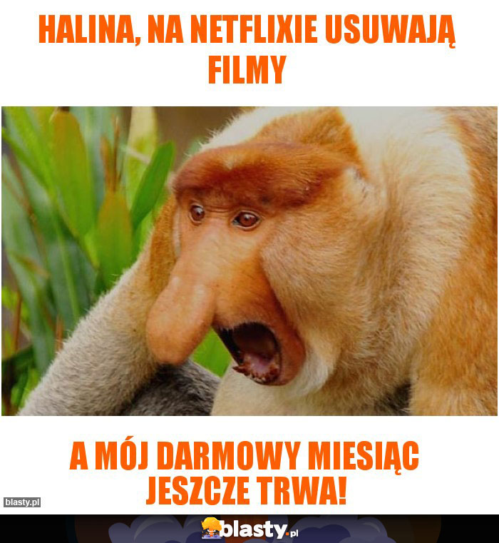 Halina, na netflixie usuwają filmy