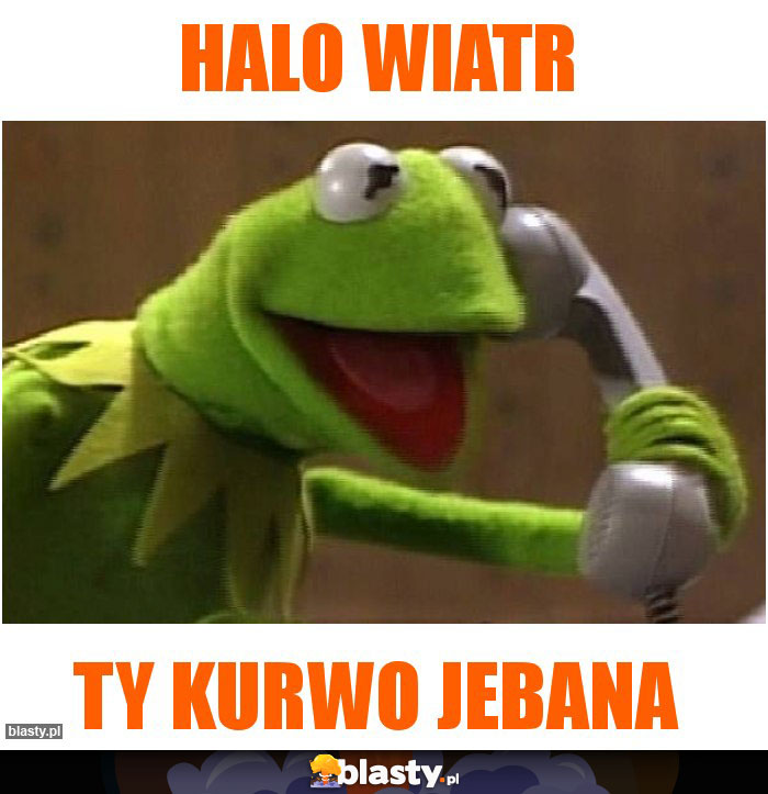 Halo wiatr