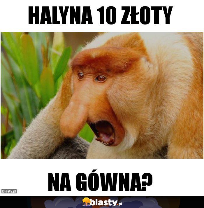 halyna 10 złoty