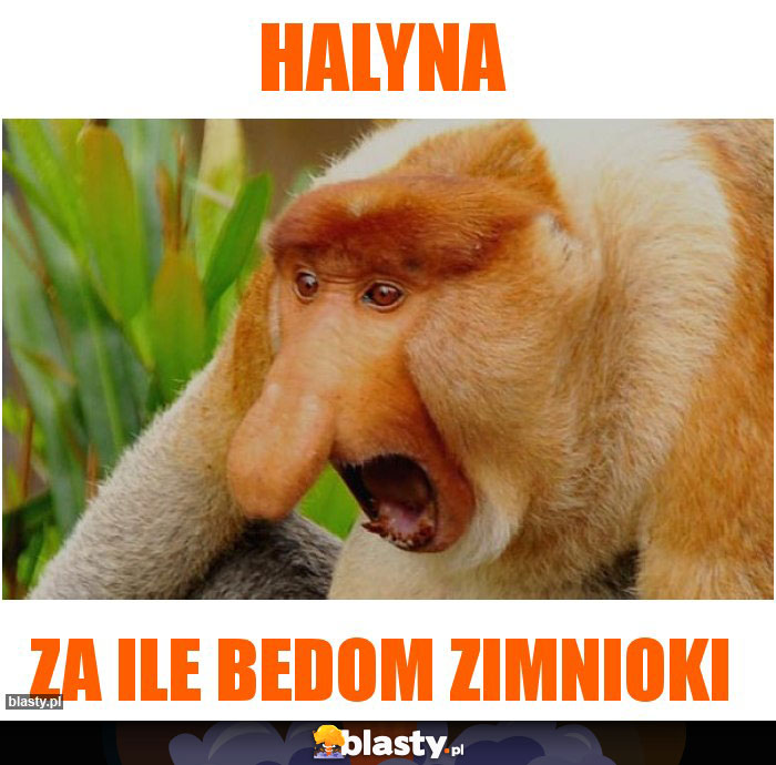 Halyna