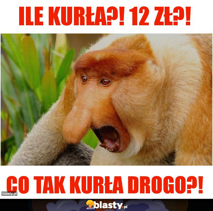 ILE KURŁA?! 12 ZŁ?!