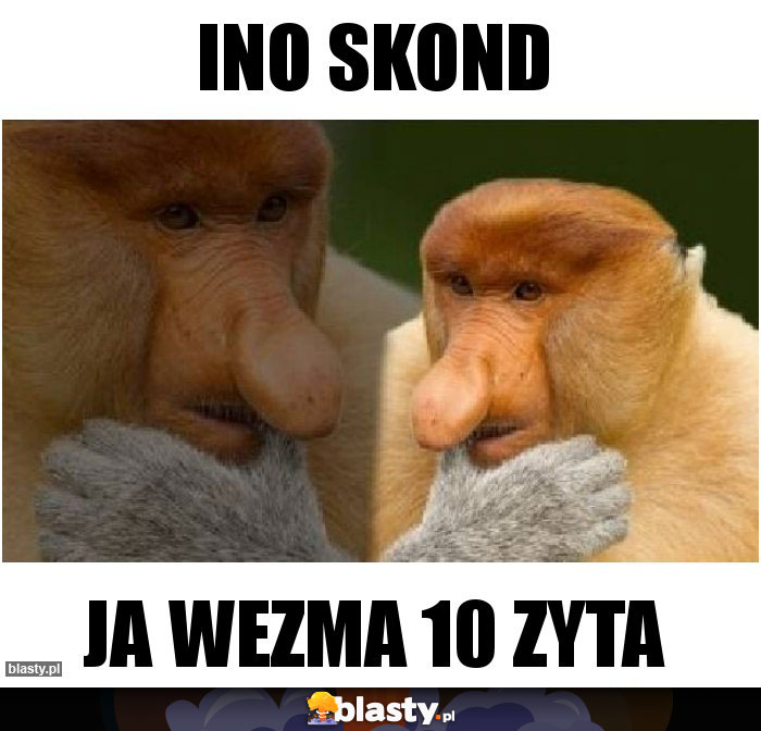 INO SKOND