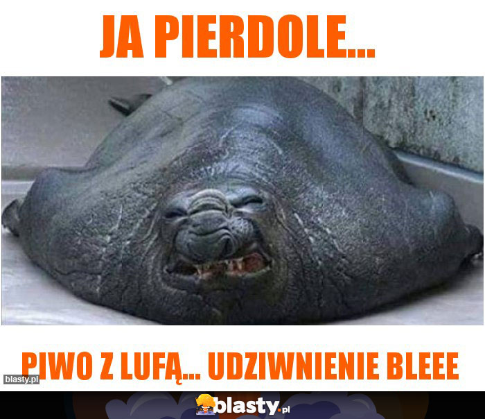 Ja pierdole...