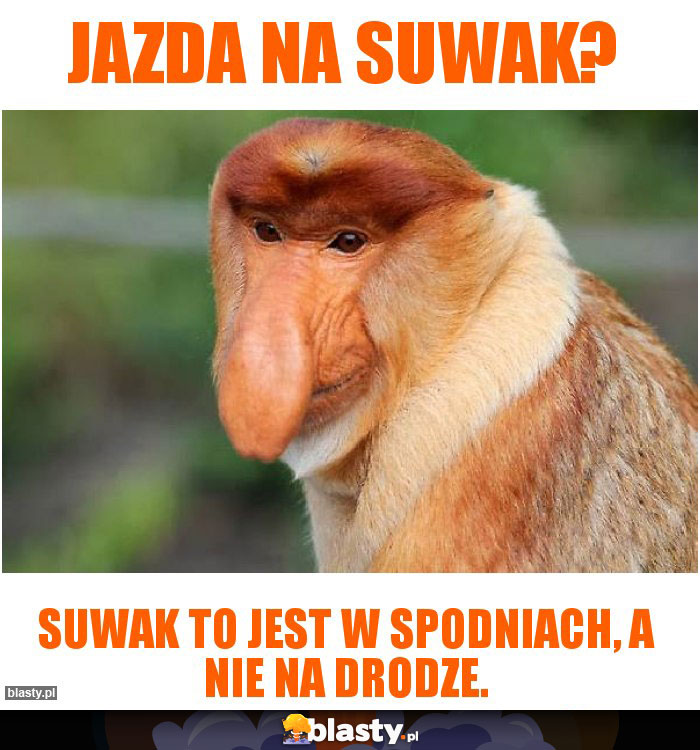 Jazda na suwak?