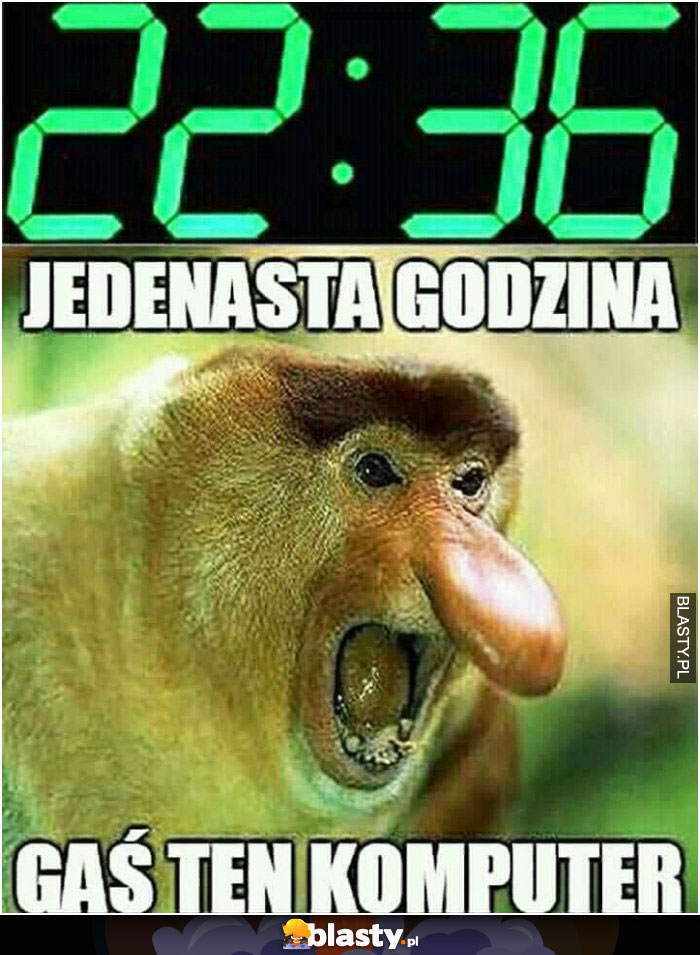 Jedenasta godzina..