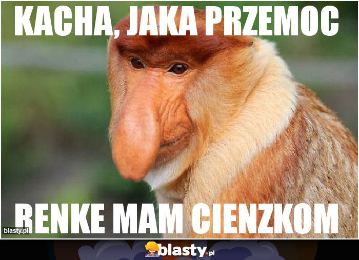 kacha, jaka przemoc