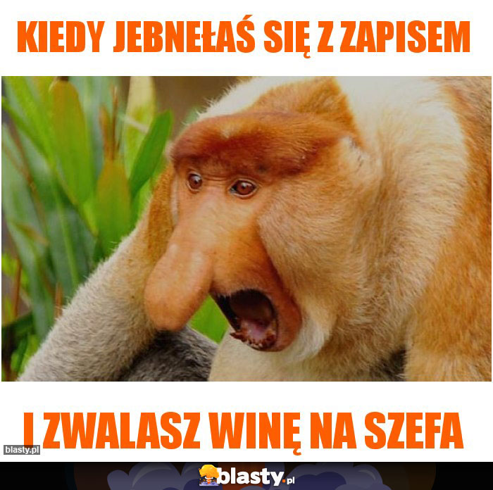 Kiedy jebnełaś się z zapisem