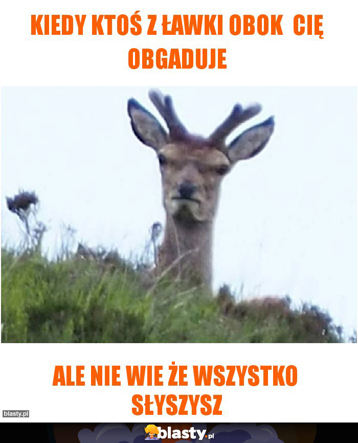 Kiedy ktoś z ławki obok  Cię obgaduje