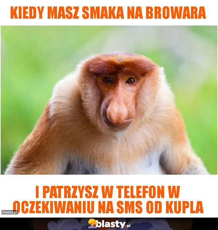 Kiedy masz smaka na browara