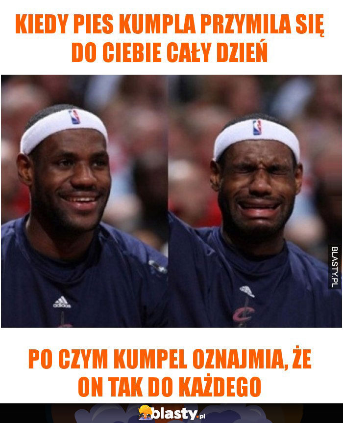 Kiedy pies kumpla przymila się do Ciebie cały dzień