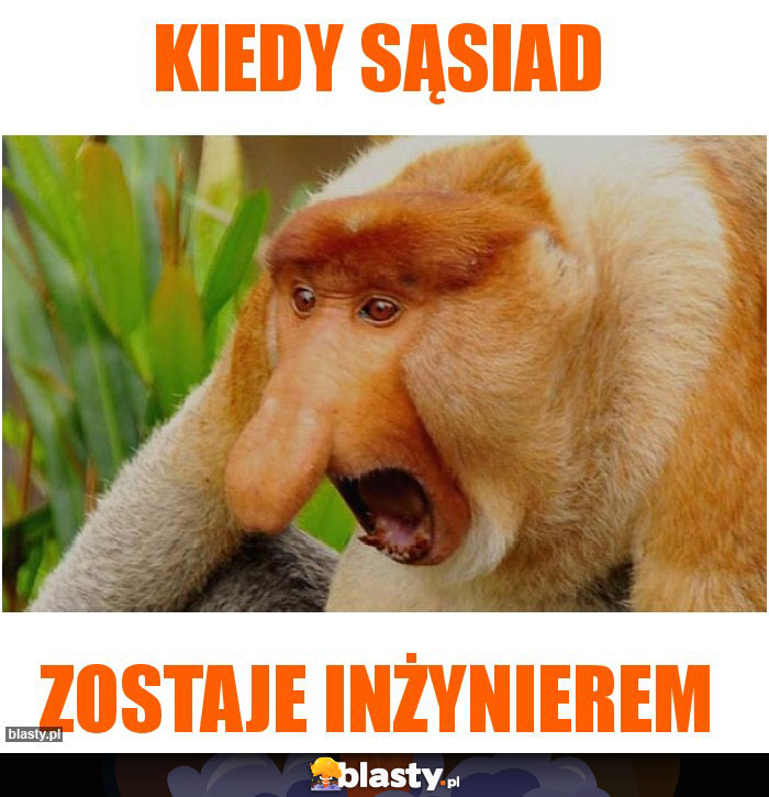 kiedy sąsiad