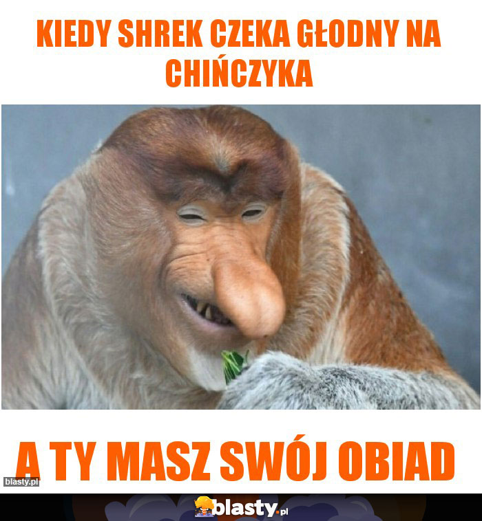 Kiedy Shrek czeka głodny na chińczyka