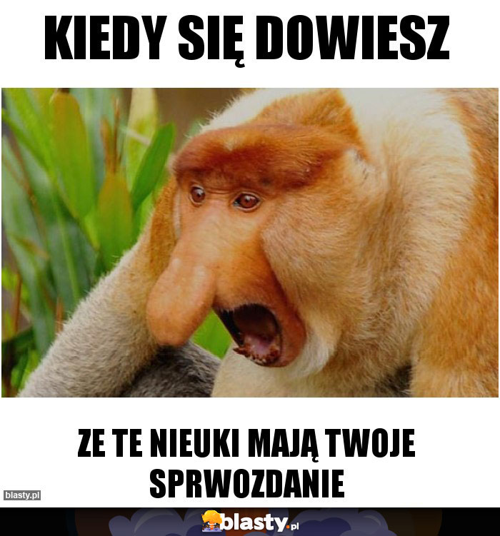 Kiedy się dowiesz