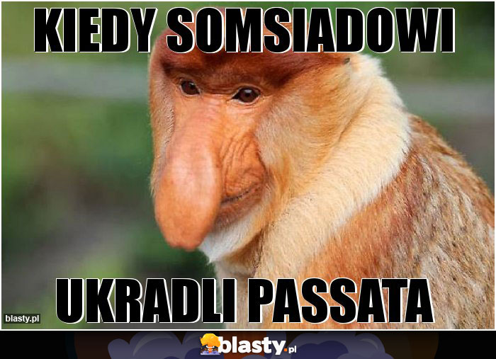 Kiedy somsiadowi