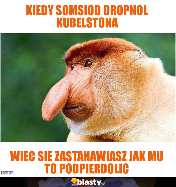 Kiedy somsiod dropnol kubelstona