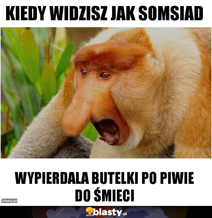 Kiedy widzisz jak somsiad